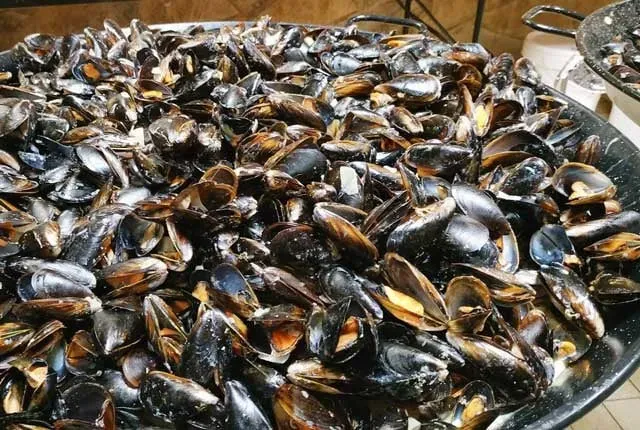 Restaurant Bizien - plateau moule